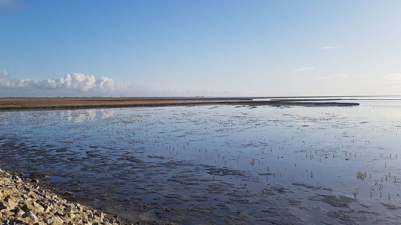 AreaSummer5KM AreaSummer5KM